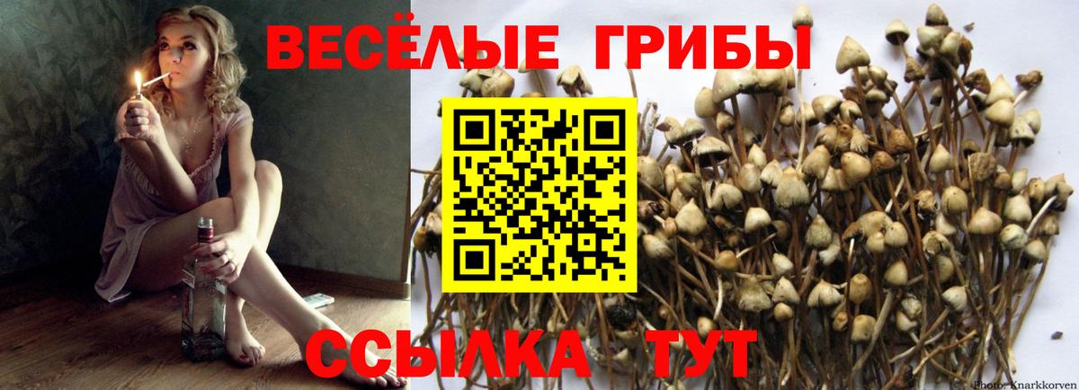 Галлюциногенные грибы мицелий Луховицы